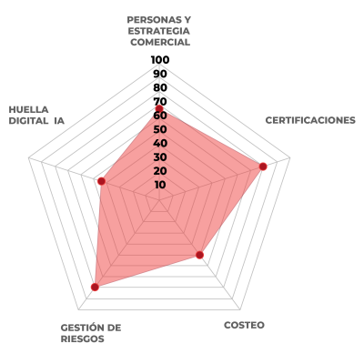 Metodología en Detalle